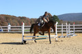 Tori Nuckols on Baron, Advanced Green Combined Test