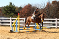 Tori Nuckols on Baron, Advanced Green Combined Test