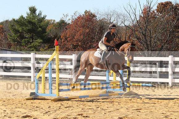 Tori Nuckols on Baron, Advanced Green Combined Test
