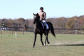 Amy Kryder on Rhianna, Beginner Novice Horse Trials Senior C
