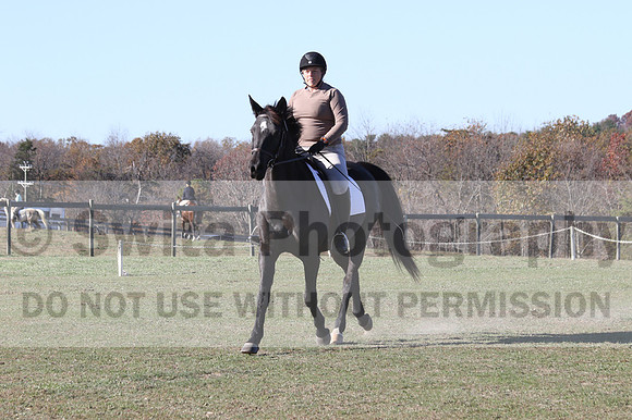 Amy Kryder on Rhianna, Beginner Novice Horse Trials Senior C