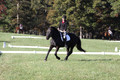 Melissa Kenny on F.O. Calculated Risk, Novice Horse Trials Senior B