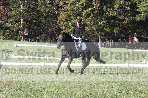 Melissa Kenny on F.O. Calculated Risk, Novice Horse Trials Senior B