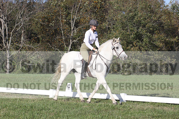 Jeanne Jeffer on Snowball's Chance, Green Horse Trials
