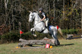 Tori Nuckols on Grey Dragon, Beginner Novice Horse Trials Senior A