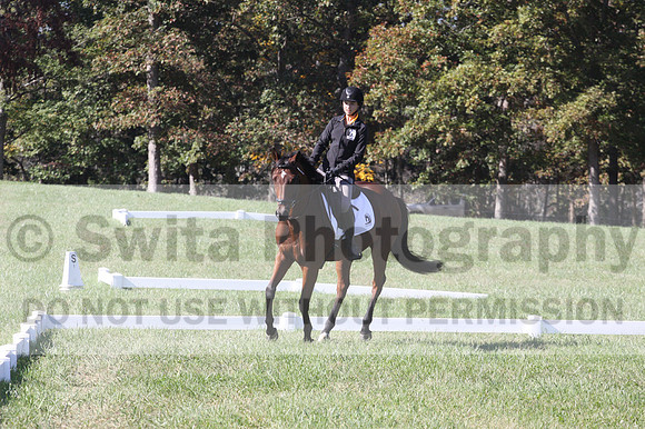 Katie LaValle on High Speed Internet, Beginner Novice Horse Trials Senior A