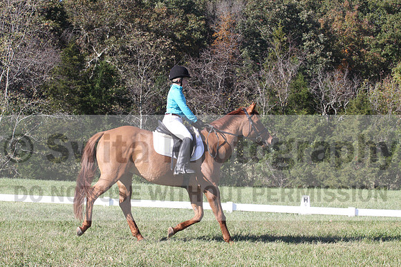 Clay Cooke on Clifford Dun It Again, Advanced Green Horse Trials B