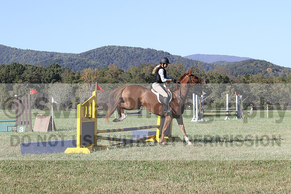Haley Morrissey on Picturesque Serenade, Advanced Green Horse Trials A
