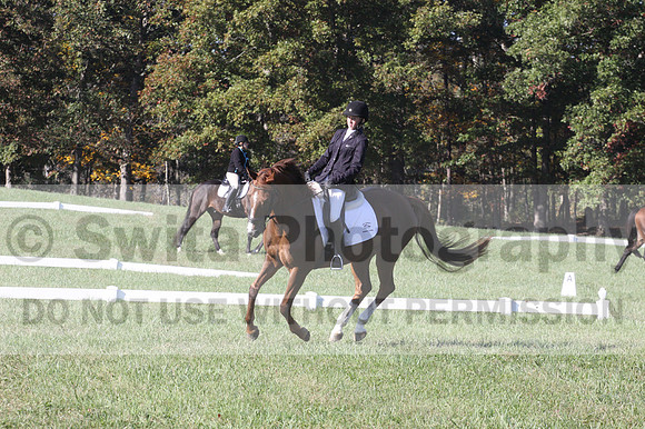 Maggie Proffitt on Wallstreet Melody, Novice Horse Trials Junior