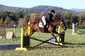 Kathleen Pimblett on Royal Grace, Green Horse Trials