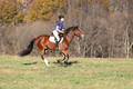 Molli Heisler on Rebel, Green Horse Trials Junior