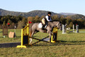 Elizabeth Brown on BallyGrace Encore, Green Horse Trials