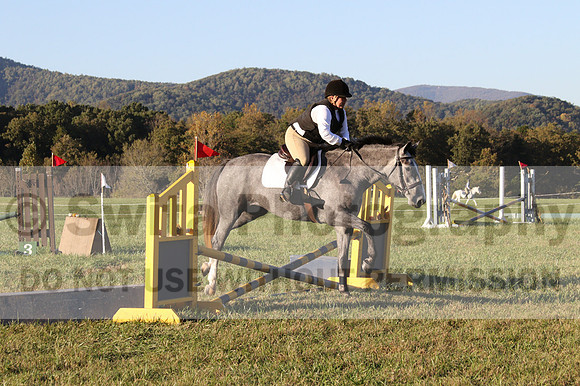 Elizabeth Brown on BallyGrace Encore, Green Horse Trials