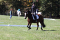 Elaine Groves on Luidonna, Beginner Novice Horse Trials Senior B