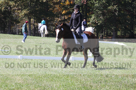 Elaine Groves on Luidonna, Beginner Novice Horse Trials Senior B