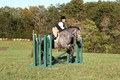 Elizabeth Brown on BallyGrace Encore, Green Horse Trials