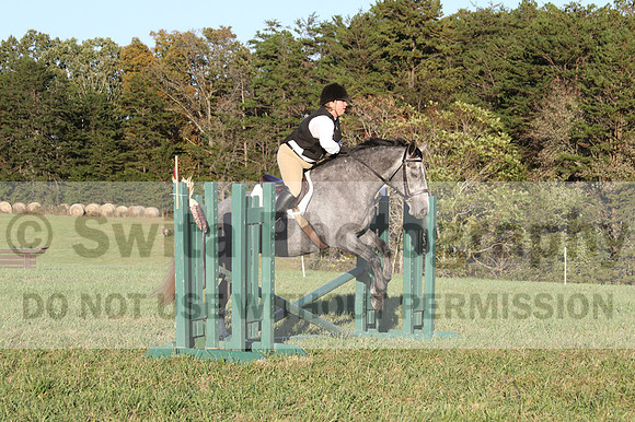 Elizabeth Brown on BallyGrace Encore, Green Horse Trials