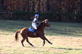 Kylie Oseguera on Boss Man, Advanced Green Horse Trials Junior B
