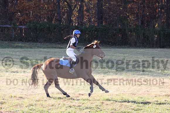 Kylie Oseguera on Boss Man, Advanced Green Horse Trials Junior B