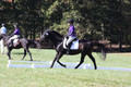 Judy Lancaster on Ride Sallie Ride, Beginner Novice Horse Trials Senior B