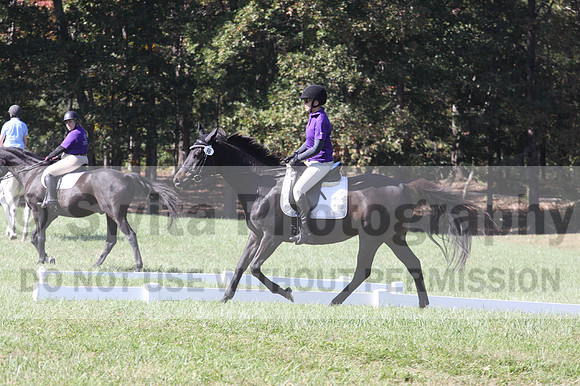 Judy Lancaster on Ride Sallie Ride, Beginner Novice Horse Trials Senior B
