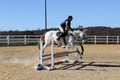 Jennifer Cobb on Snowbird, Beginner Novice Horse Trials Senior A