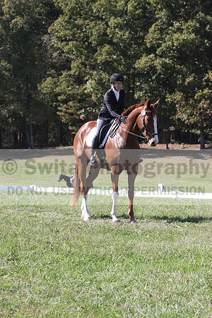 Amy Parsons on Wren Wrouge, Advanced Green Horse Trials A