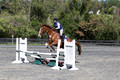 Amy Parsons on Wren Wrouge, Beginner Novice Senior HT B