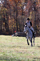 Josie Howard on Shenandoah Sea Lily, Beginner Novice Horse Trials Senior B