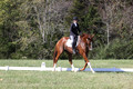 Amy Parsons on Wren Wrouge, Advanced Green Horse Trials A