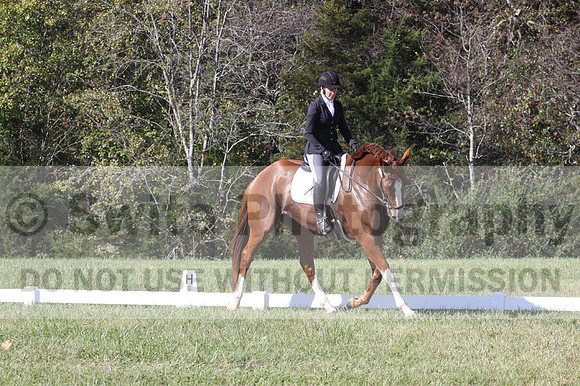 Amy Parsons on Wren Wrouge, Advanced Green Horse Trials A