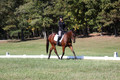 Katie LaValle on High Speed Internet, Beginner Novice Horse Trials Senior A