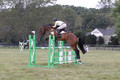 Lindsey Lanier on Fernhill Hustler, OI