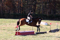 Abby Loving on Royal Filigree, Advanced Green Horse Trials Senior A