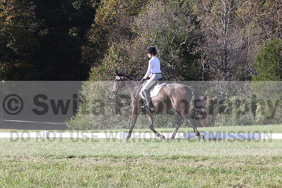Nancy Grey on Bit Of Irish, Advanced Green Horse Trials B