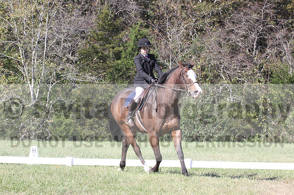 Wyatt Wilkerson on Troublemaker, Beginner Novice Horse Trials Junior B