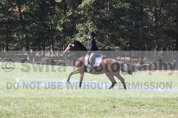 Elaine Groves on Luidonna, Beginner Novice Horse Trials Senior B