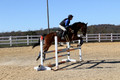 Francesca Toms on Top Secret, Novice Horse Trials Junior