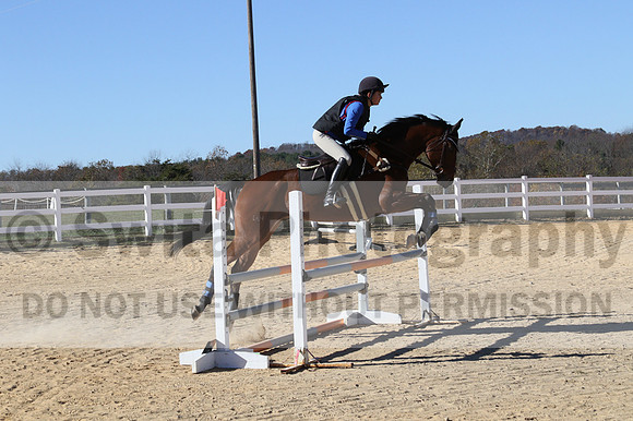 Francesca Toms on Top Secret, Novice Horse Trials Junior
