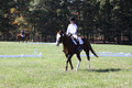 Pia Zuffoletti on Rio, Beginner Novice Horse Trials Junior A