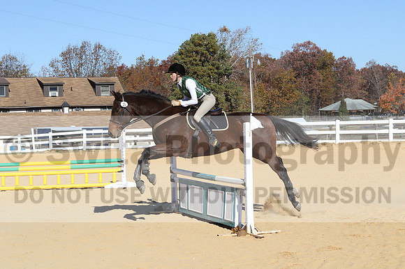Anne Meyer on Rapidity, Beginner Novice Horse Trials Senior B