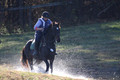 Corinne McCoy on FGF Midnight Harmony, Advanced Green Horse Trials Senior A