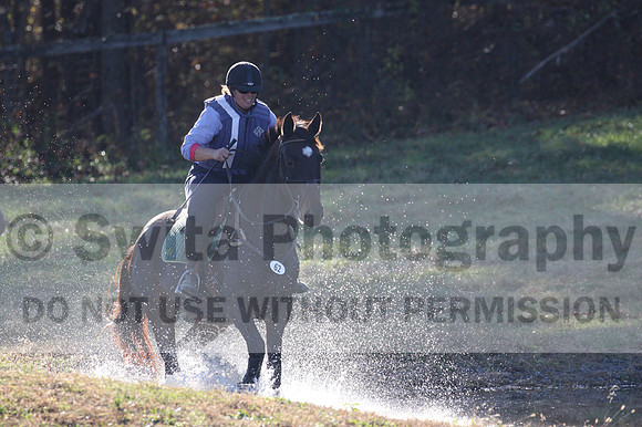 Corinne McCoy on FGF Midnight Harmony, Advanced Green Horse Trials Senior A