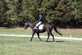 Judy Lancaster on Ride Sallie Ride, Beginner Novice Horse Trials Senior B
