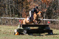 Theresa Thompson on Rated PG, Novice Horse Trials Senior