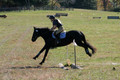 Leah Childers on Priscilla, Beginner Novice Horse Trials Junior B