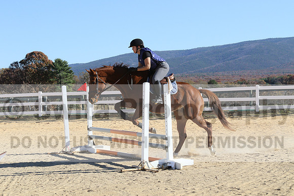 Austin Mikolin on Royal Intrigue, Advanced Green Horse Trials Senior B