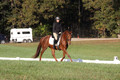 Jenny Rosner on Abbey Moon, Training Horse Trials