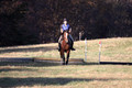 Molli Heisler on Rebel, Green Horse Trials Junior