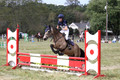 Lulu Malinoski on Valencia Dralium